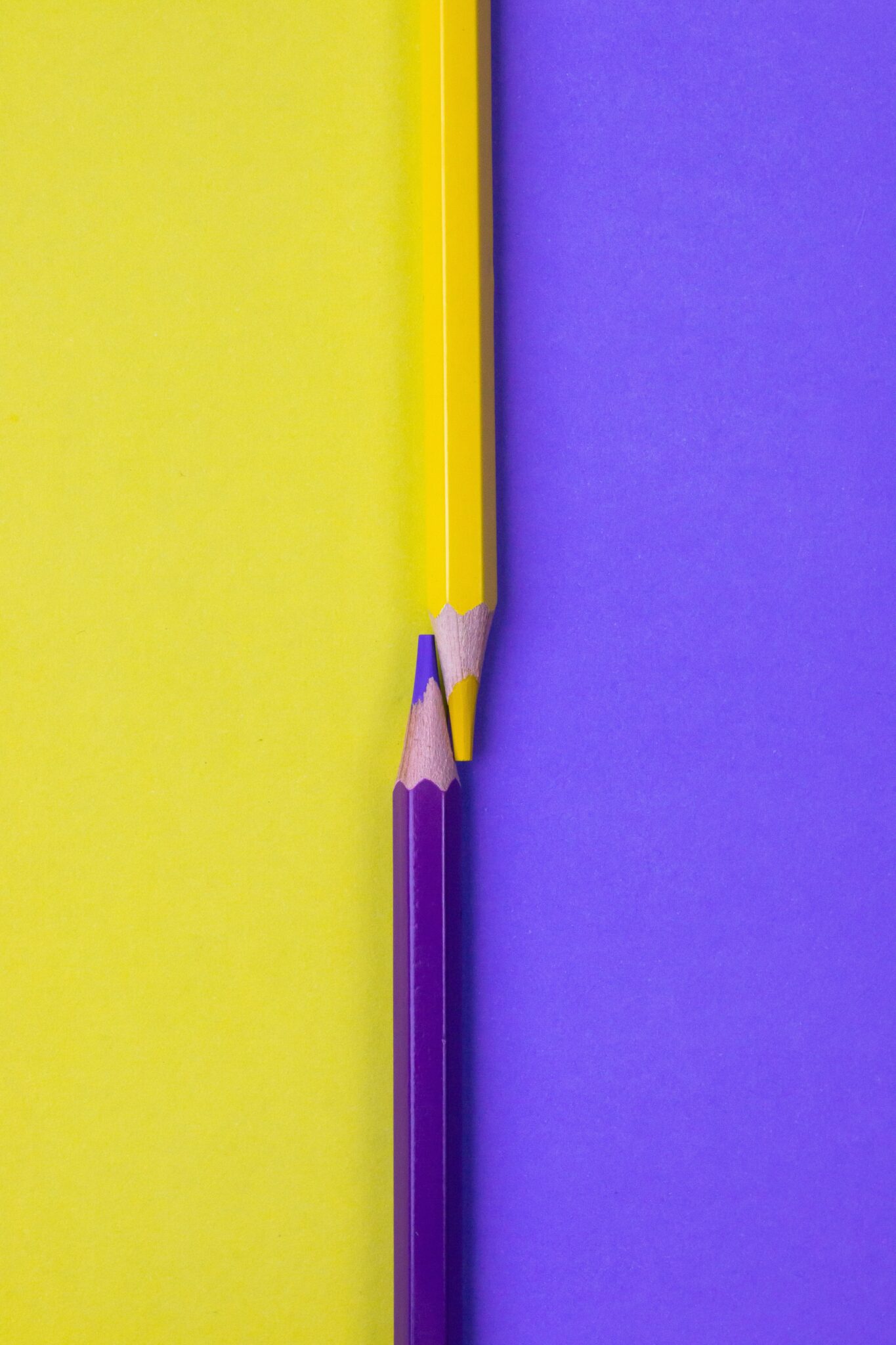 Ateliers Découvertes - Art Company