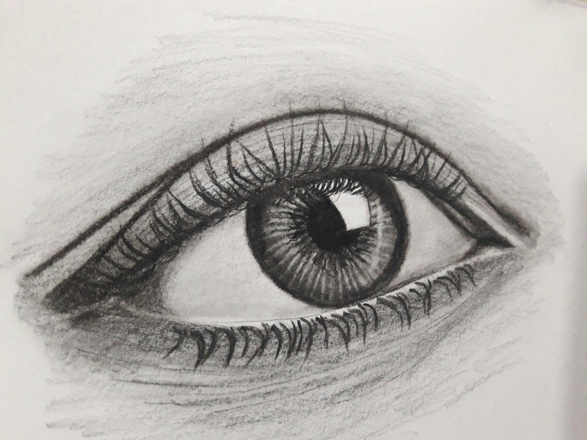 dessin d'observation